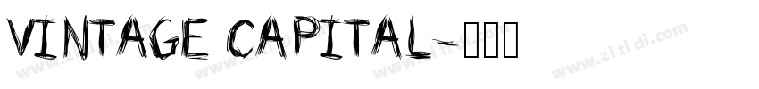 vintage capital字体转换